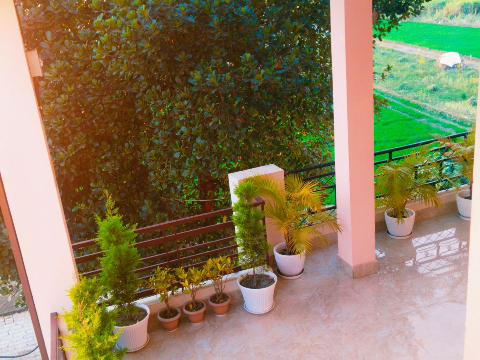 Airport Luxury Nature Homestay- Near Jolly Grant Airport Dehradun Doiwala ภายนอก รูปภาพ