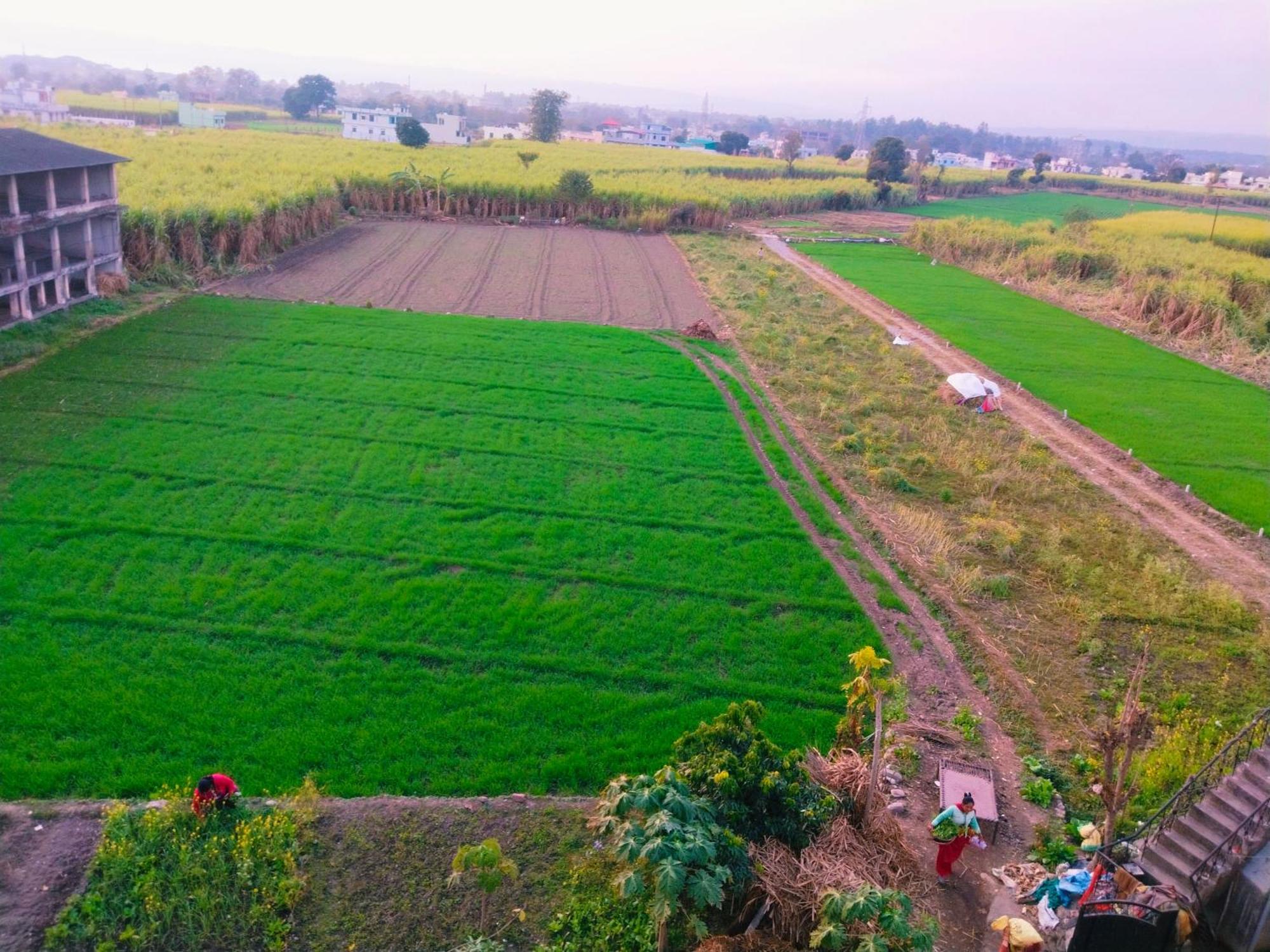 Airport Luxury Nature Homestay- Near Jolly Grant Airport Dehradun Doiwala ภายนอก รูปภาพ