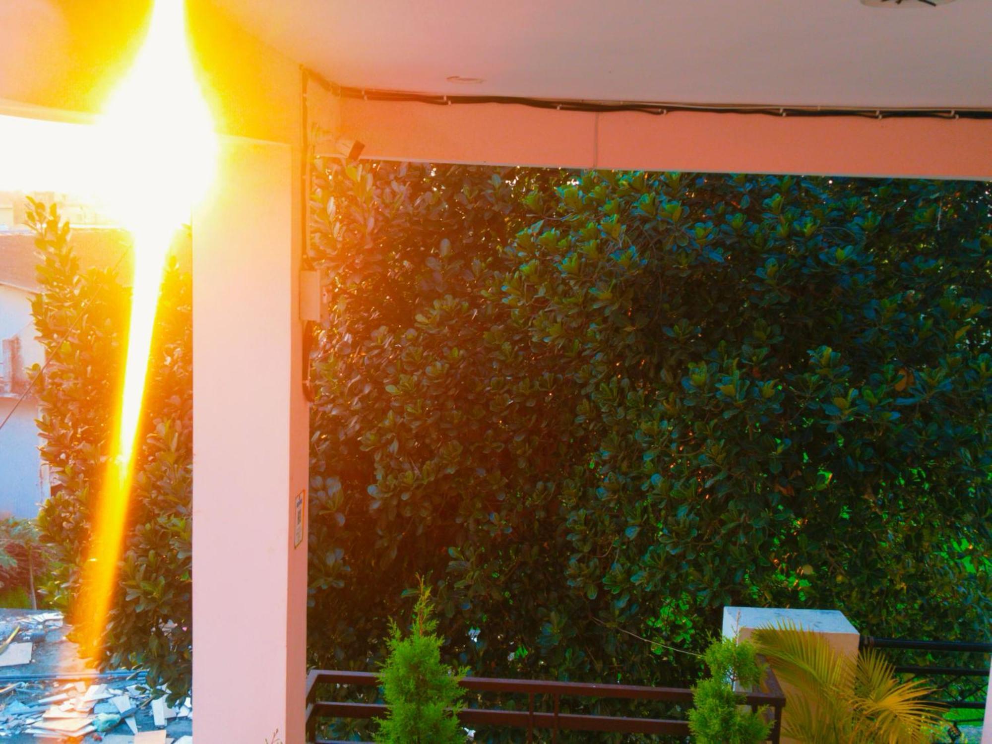 Airport Luxury Nature Homestay- Near Jolly Grant Airport Dehradun Doiwala ภายนอก รูปภาพ