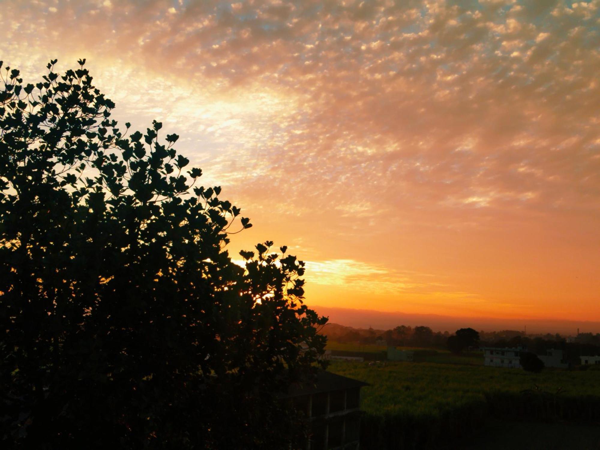 Airport Luxury Nature Homestay- Near Jolly Grant Airport Dehradun Doiwala ภายนอก รูปภาพ